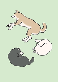 狗 wancorase_06_綠色