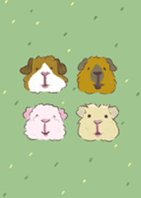 Guinea Pigs Theme