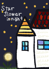 Star flower in night
