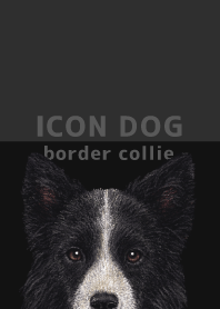 ICON DOG - Border Collie - BLACK/03