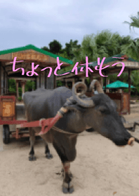 ushinoetaketomi