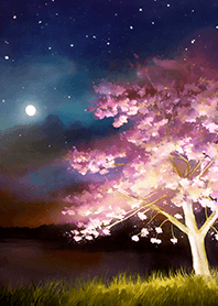 Beautiful night cherry blossoms#513