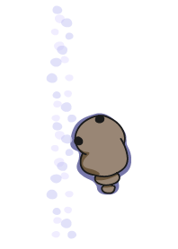staring staring - dot dot