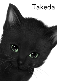 たけだ用可愛い黒猫子猫