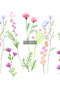 water color flowers_745