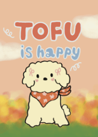 Tofu is super happy
