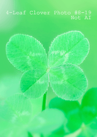 4-Leaf Clover Photo#8-19Not AI