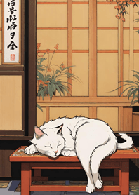 고양이 사람들의 선택 D27c27