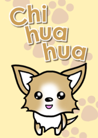 Chihuahua