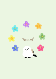 Long-tailed tit watercolor flower17Japan