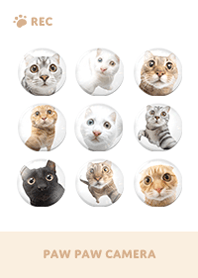 Paw Paw Camera -  Beige 06