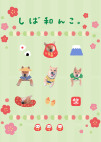 しば和んこ