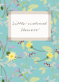 Little natural flowers 03