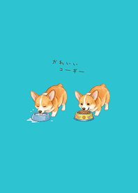 My adorable Corgi(mint blue)