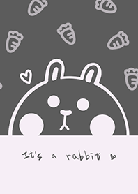 兔兔與紅蘿蔔J-灰色(Pur3)