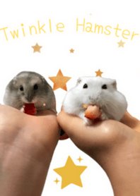 Twinkle Hamster