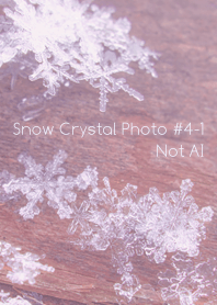 Snow Crystal Photo #4-1 Not AI