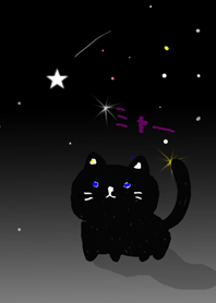 Black cat and night