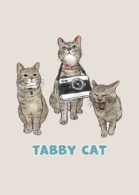 tabbycat11 - dark beige