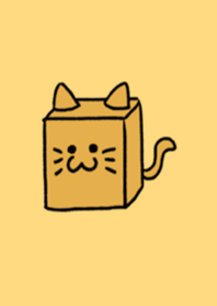 Box cat