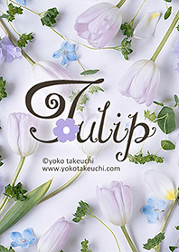 Tulip～爽やかなチューリップ～