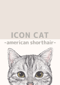 ICON CAT - American Shorthair - BEIGE/05