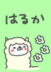 Haruka cute alpaca theme!