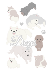 สัตว์ 001 (สุนัข×สีขาว)