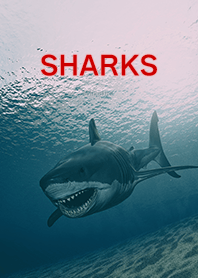 SHARKS .
