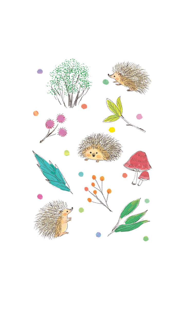 Cute hedgehog 1