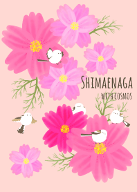 Little White Bird with cosmos