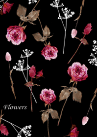 Surrounded by classical roses5.
