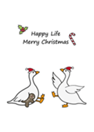 矮鵝！聖誕節快樂
