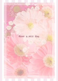 Gerbera Theme ♡ -2021- 5
