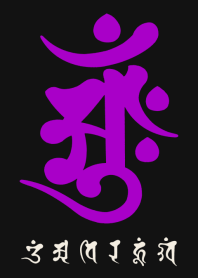 BONJI [aMH] BLACK PURPLE (0638