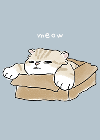 neko drawing4 - light steel blue