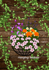 Hanging baskets