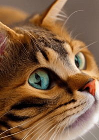 nyanko great runaway#bfsaz017