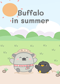 Buffalo In Summer!