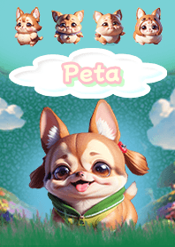Peta Chihuahua Beige04