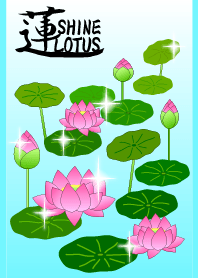 HASU. -Shining Lotus-