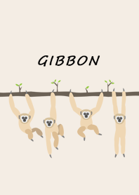 Gibbon -JPN-