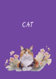 Calico cat on purple