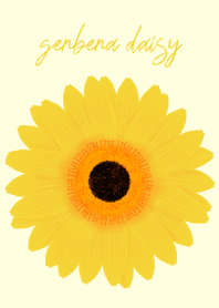 gerbera daisy(brown&yellow)
