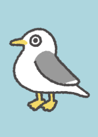 Black-tailed gull theme