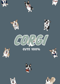 corgicorgi7 / dark steel blue