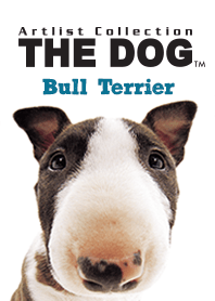 THE DOG ブル•テリア