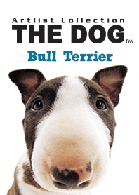 THE DOG Bull Terrier