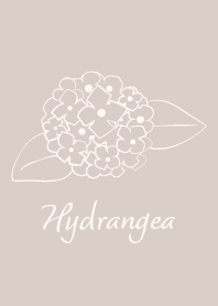 Hydrangea-05*