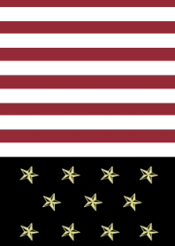 Stars and Stripes Black***